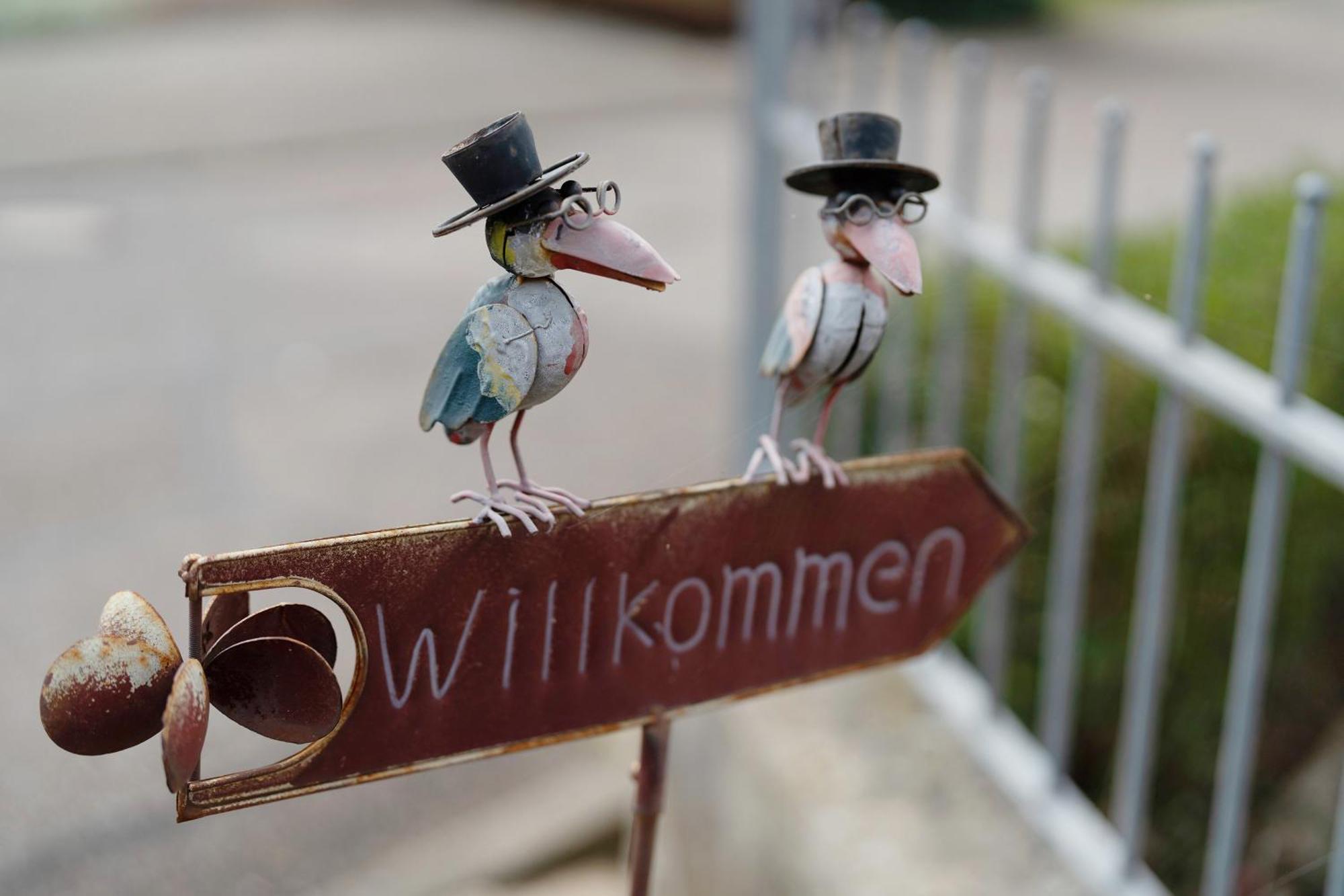 Ferienwohnungen Hog , Ringsheim Zewnętrze zdjęcie