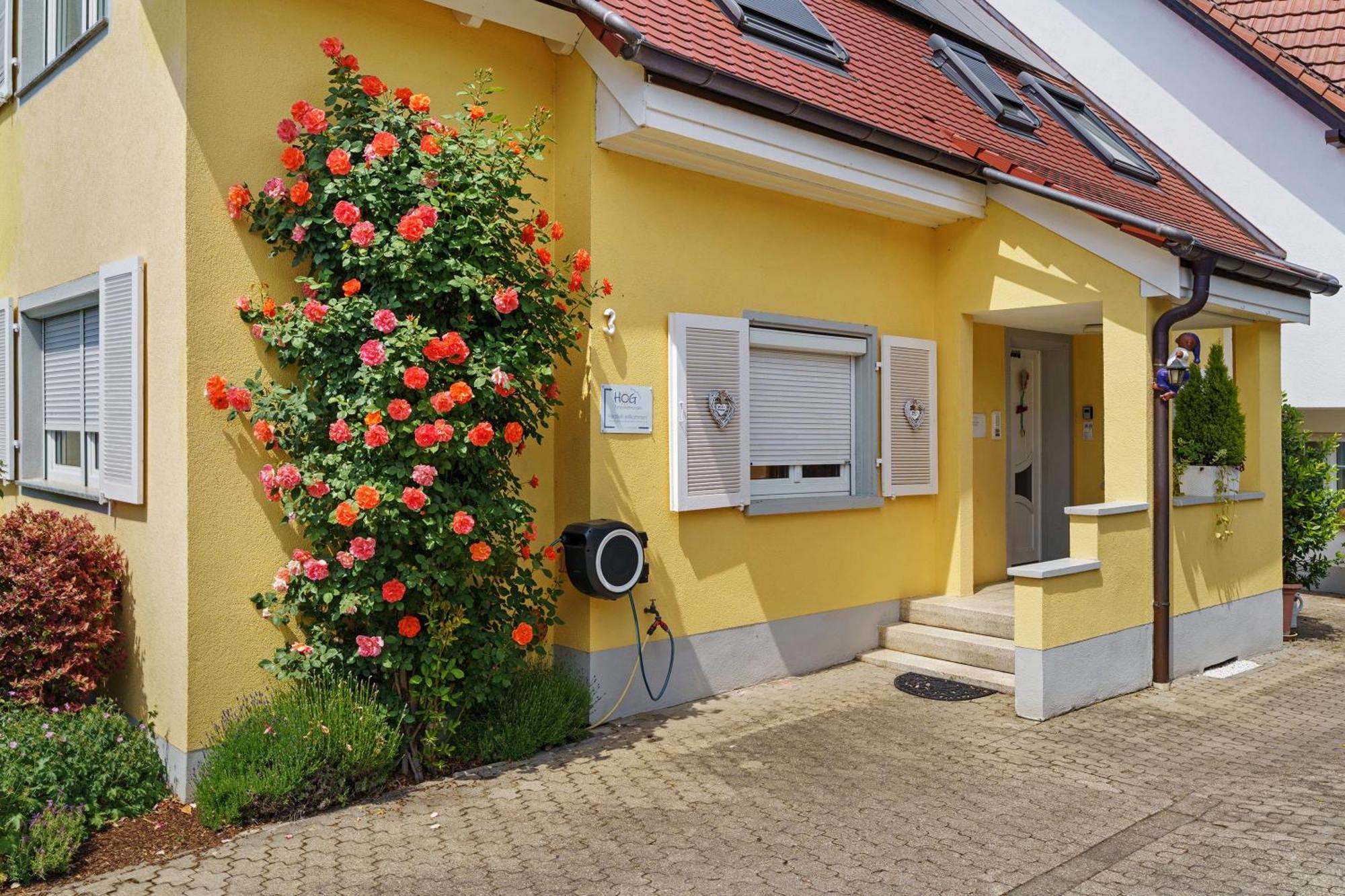 Ferienwohnungen Hog , Ringsheim Zewnętrze zdjęcie
