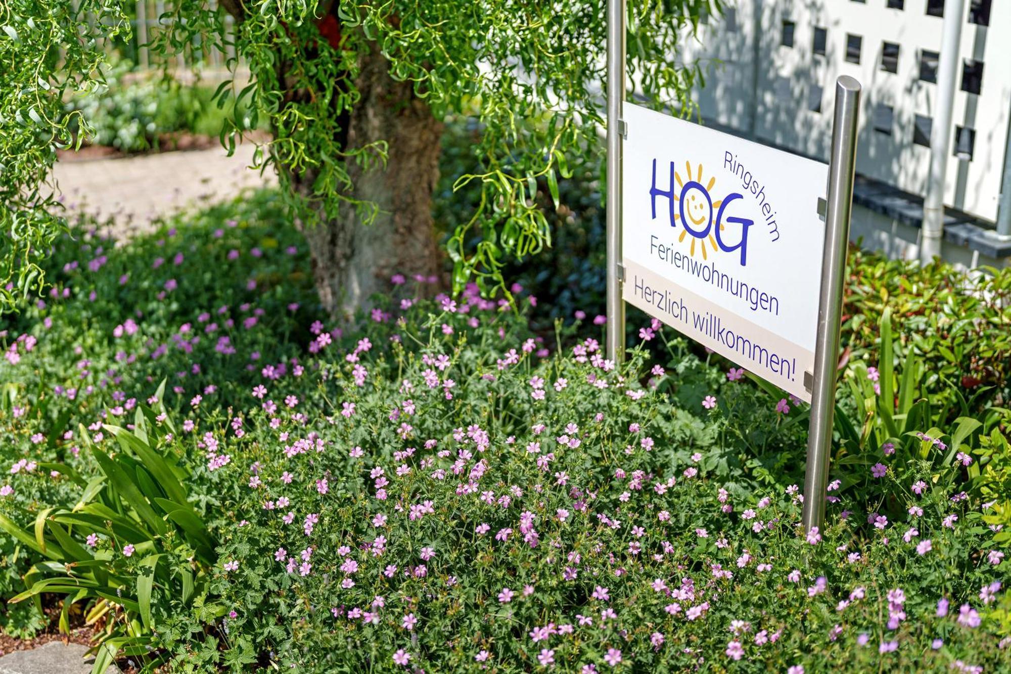 Ferienwohnungen Hog , Ringsheim Zewnętrze zdjęcie
